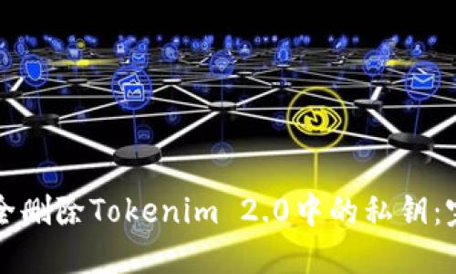 如何安全删除Tokenim 2.0中的私钥:完整指南