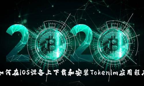 如何在iOS设备上下载和安装Tokenim应用程序