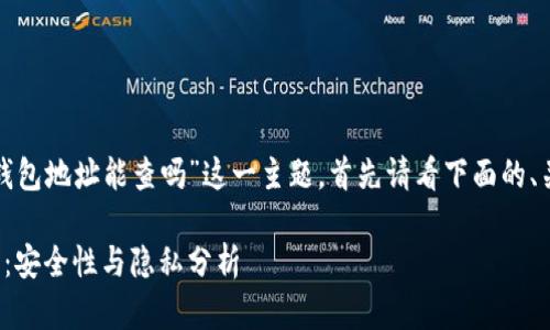 本次我们将讨论“tokenim2.0钱包地址能查吗”这一主题，首先请看下面的、关键词，并提供大纲和相关问题。

Tokenim2.0钱包地址查询指南：安全性与隐私分析