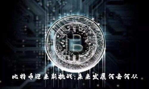 比特币迎来新挑战：未来发展何去何从