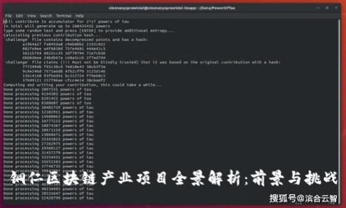 铜仁区块链产业项目全景解析：前景与挑战