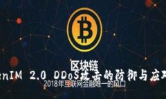 TokenIM 2.0 DDoS攻击的防御与应对策略