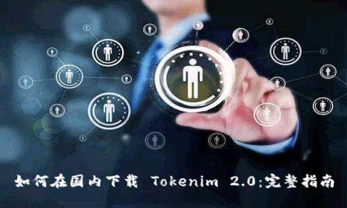 如何在国内下载 Tokenim 2.0：完整指南