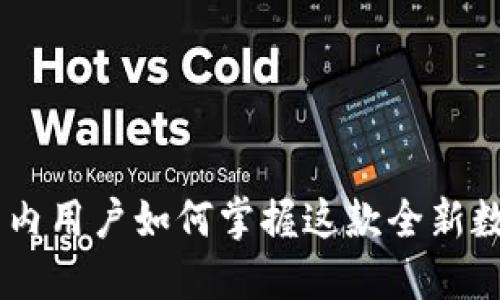 Tokenim 2.0：国内用户如何掌握这款全新数字资产管理工具