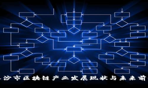 长沙市区块链产业发展现状与未来前景