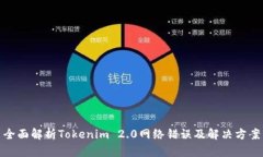 全面解析Tokenim 2.0网络错误及解决方案