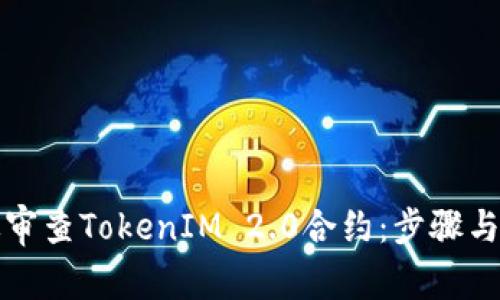 如何高效审查TokenIM 2.0合约：步骤与技巧指南
