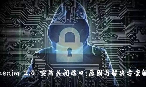 Tokenim 2.0 突然关闭端口：原因与解决方案解析