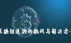 区块链追溯的挑战与解决方案