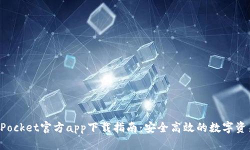 TokenPocket官方app下载指南：安全高效的数字资产管理